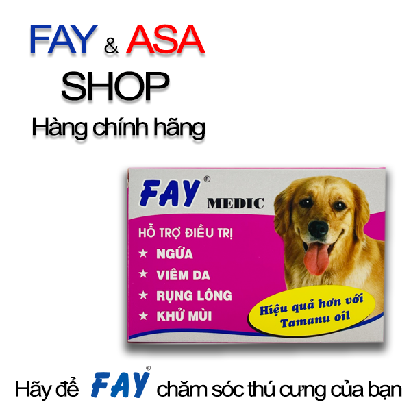 Xà Bông Fay Medic 100g