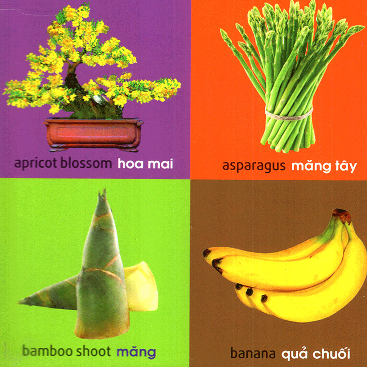 101 First Words - Plants  _ML