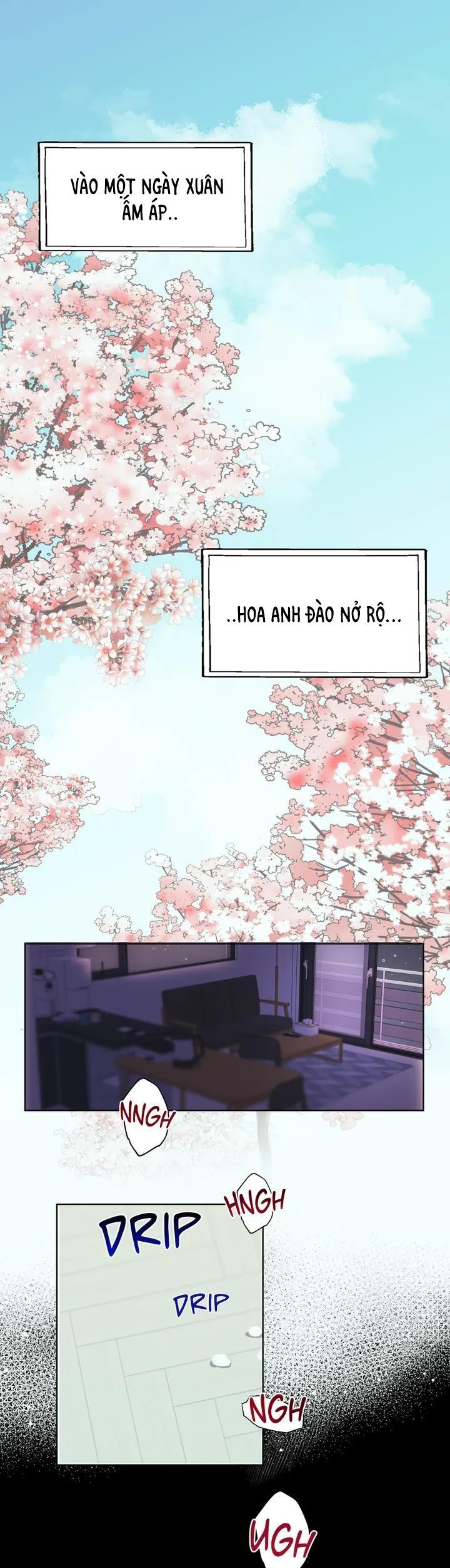 manhwa chịch vồn chịch vã chapter 72 1