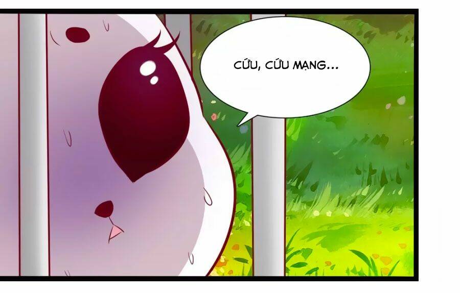 thỏ yêu tiểu vương phi chapter 54 28
