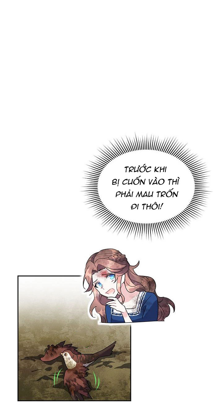 công chúa của loài chim chapter 12 12