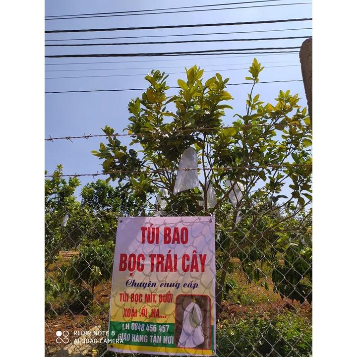TÚI BỌC BƯỞI,DƯA LƯỚI,CHÙM NHO CHẮT LIỆU LƯỚI DÀY TỐT KÍCH THƯỚC 30*35m