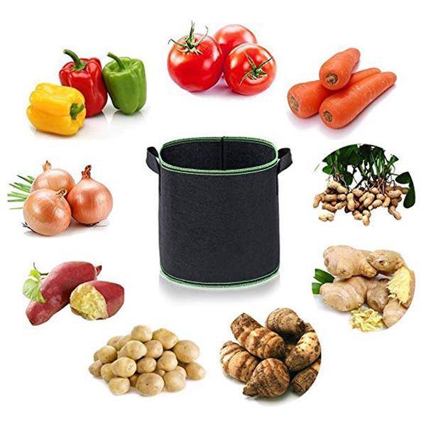 TÚI VẢI TRỒNG CÂY SET 3 CÁI 10GALLON