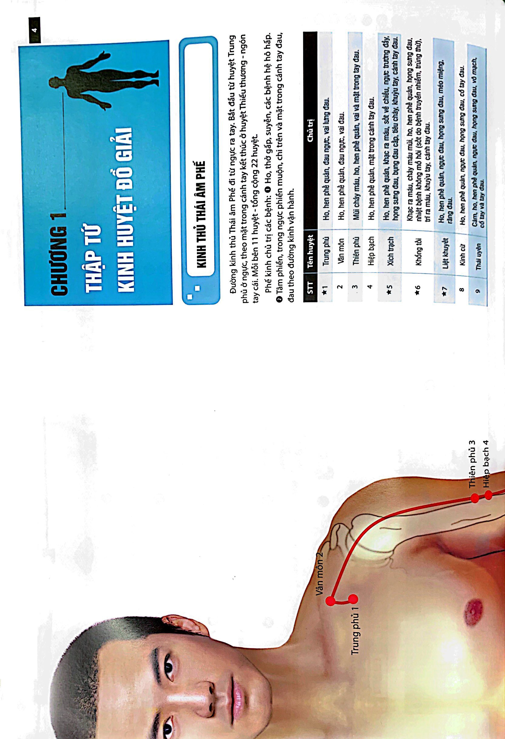 Đồ Giải Kinh Lạc Huyệt Vị - Nam Giới