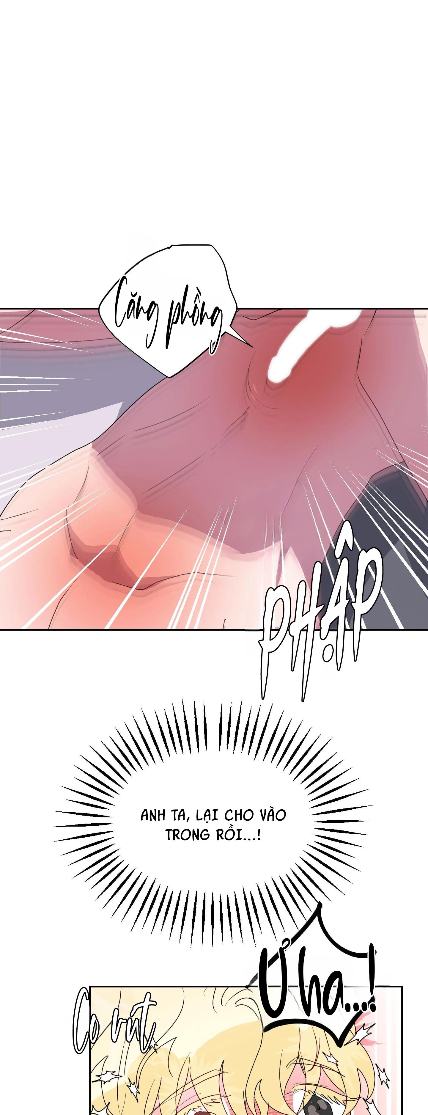 cá mập và cô dâu thỏ chapter 12 39