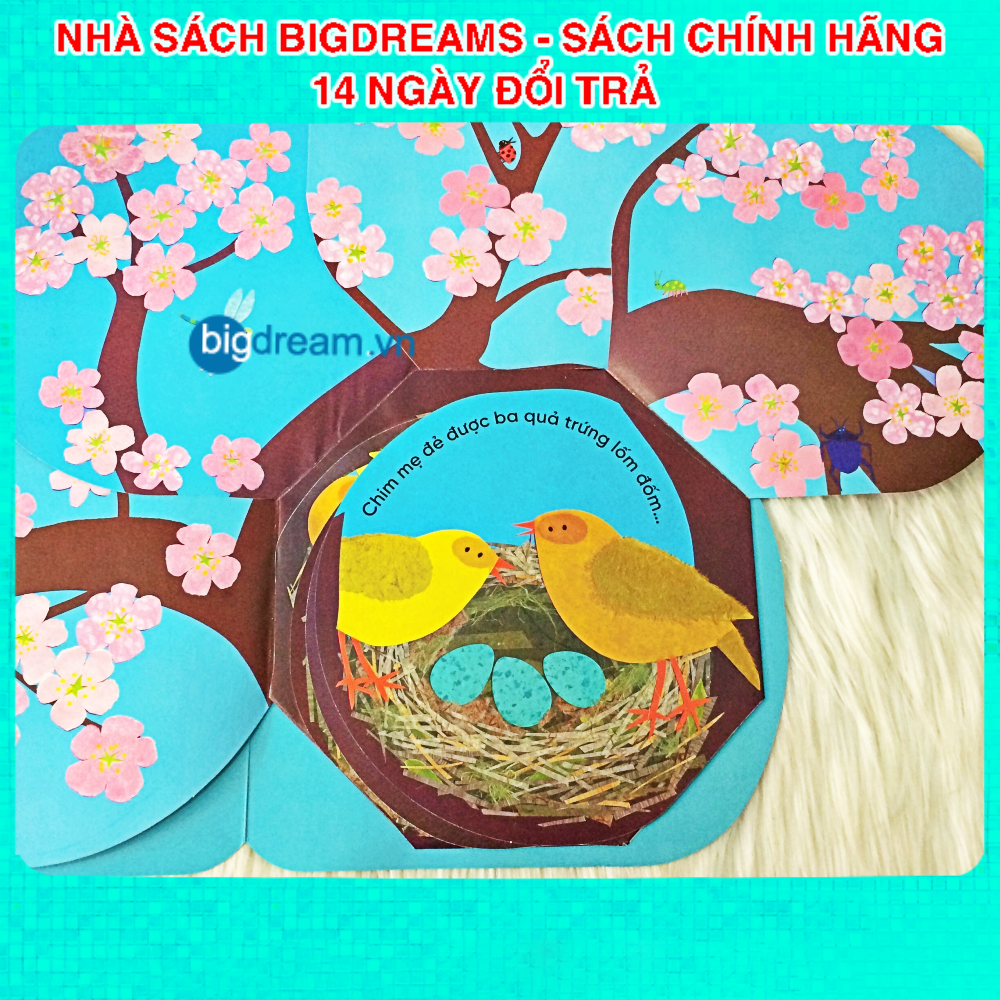 Vòng đời kỳ diệu Trứng nhỏ nở chim non - Sách Tương tác lật mở cho bé từ 3-6 tuổi