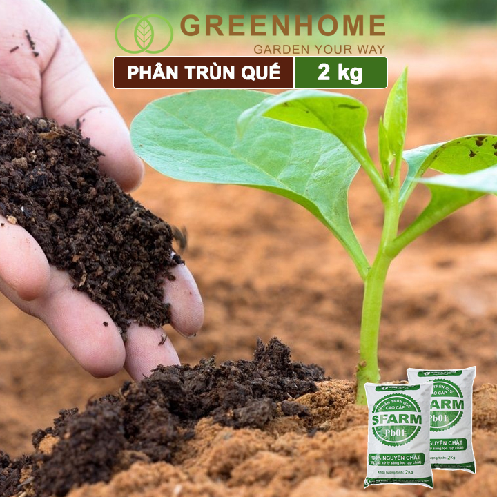 Phân Trùn Quế Greenhome, Bao 2kg, Dinh Dưỡng Hữu Cơ, Không Mùi, Tốt Cho Lan, Bonsai, Rau, Cây Ăn Trái