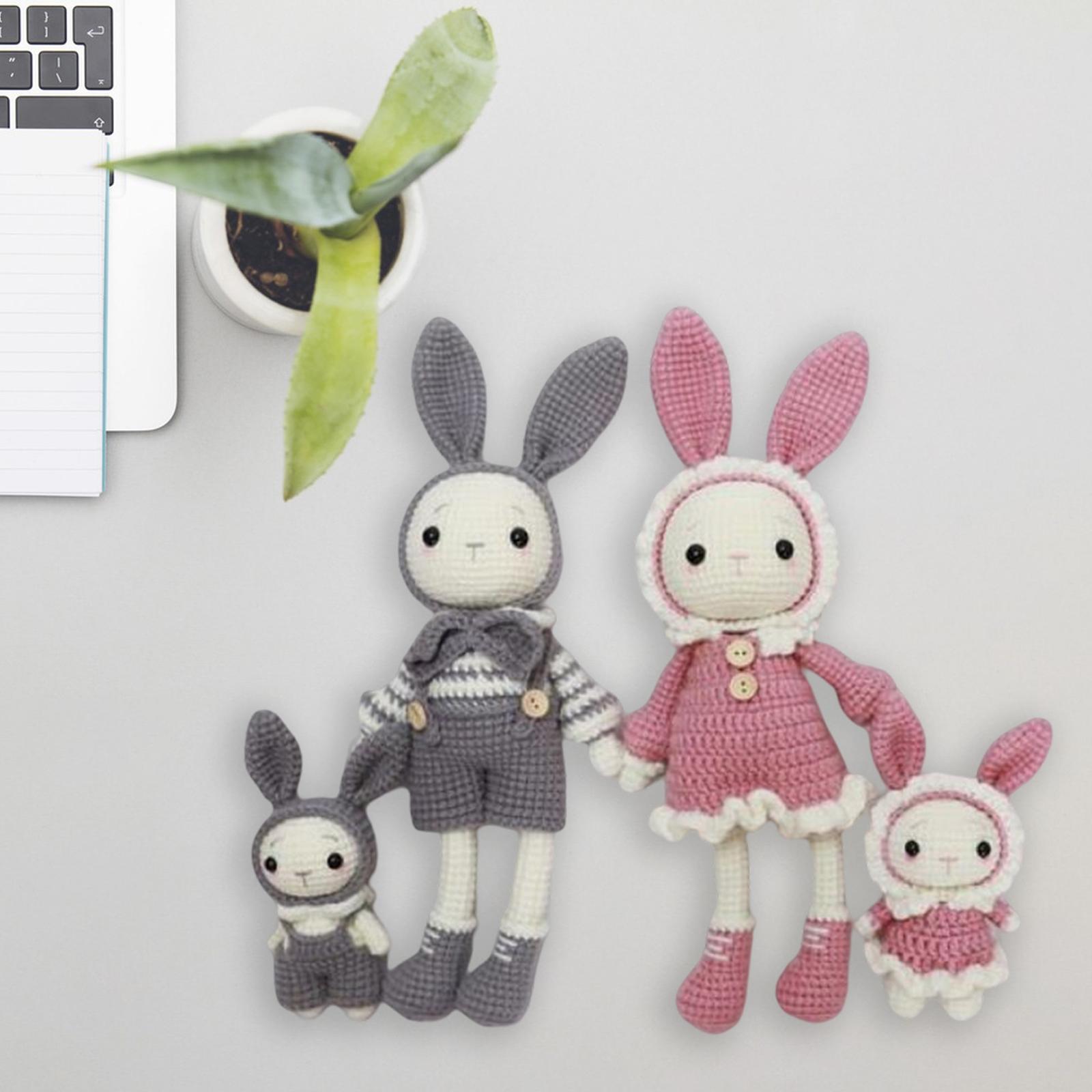 DIY Cartoon Rabbit Doll Crochet   to Make Decoration