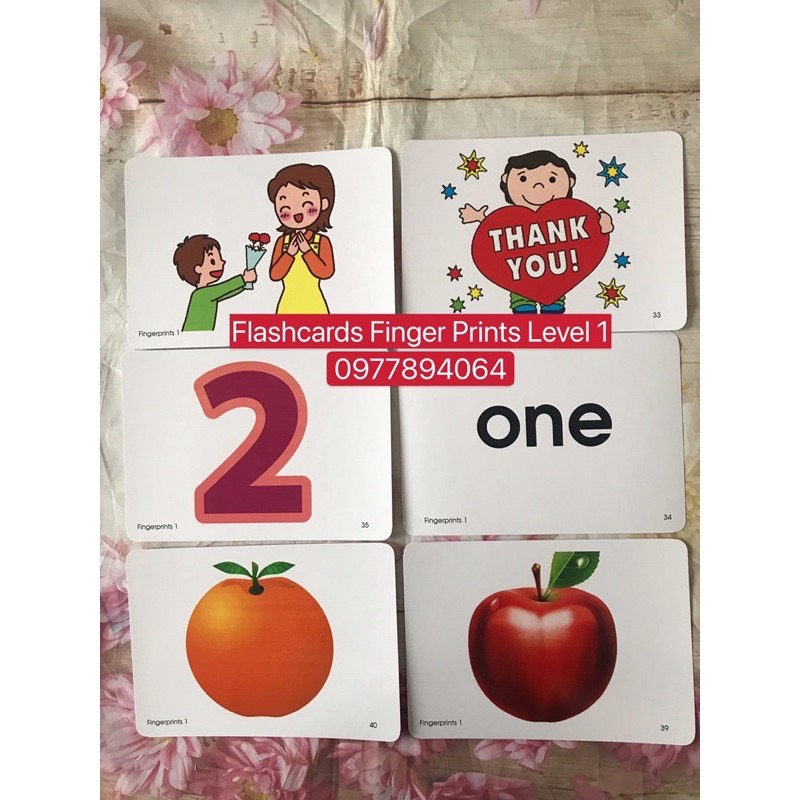 FLASHCARDS FINGER PRINT 1,2,3-khổ A5 ép plastic bền đẹp