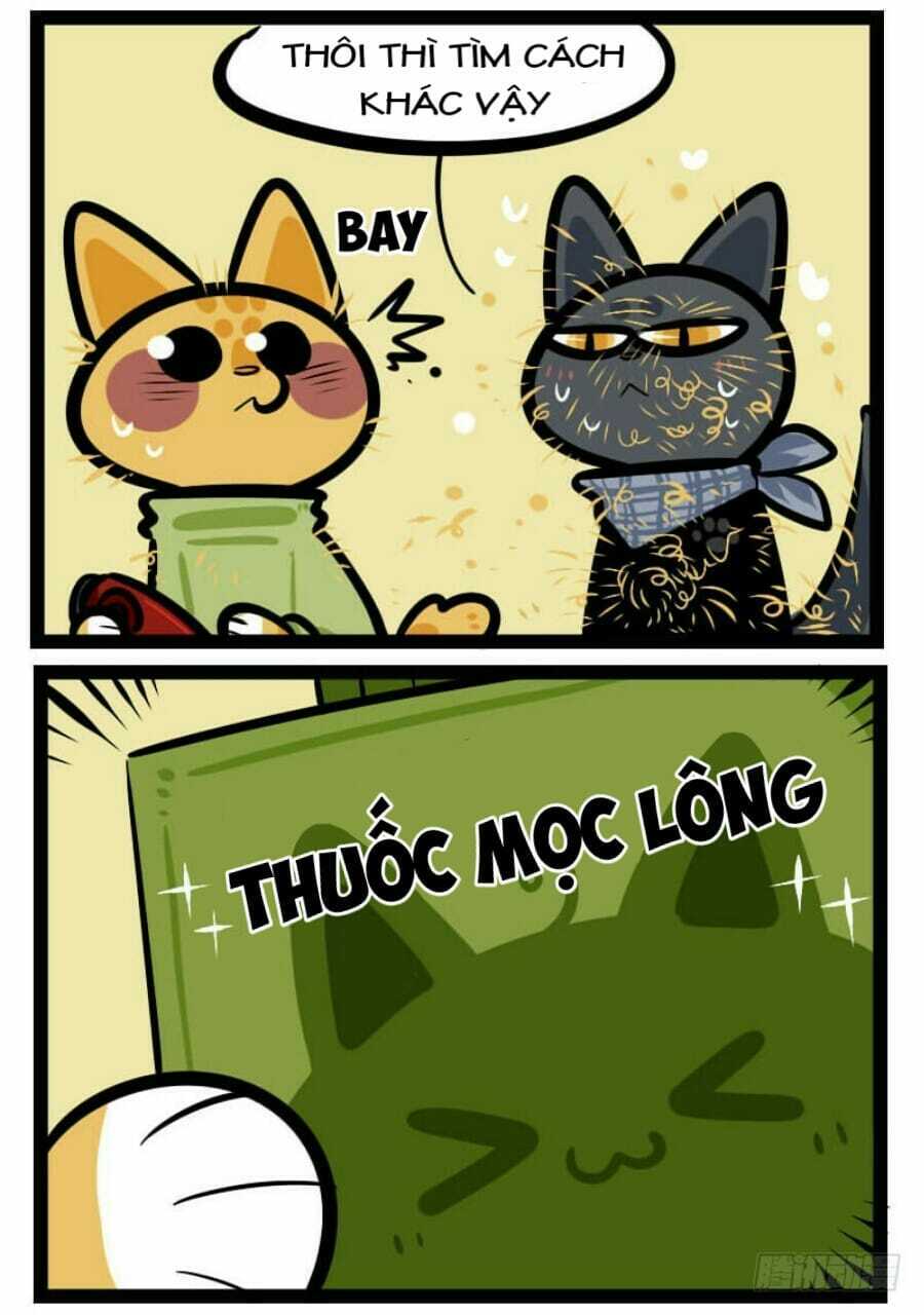 đời không như mình tưởng chapter 35 7