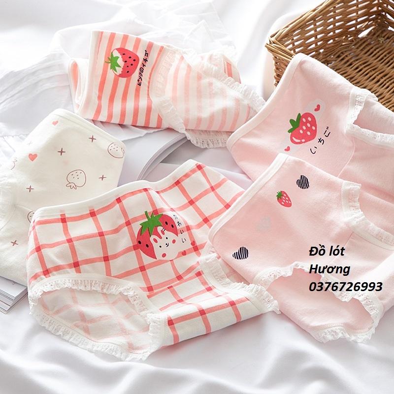 Quần Lót Nữ Cotton Kháng Khuẩn Hình Dâu Tây Viền Ren Ngang Eo . Hàng Loại Đẹp.