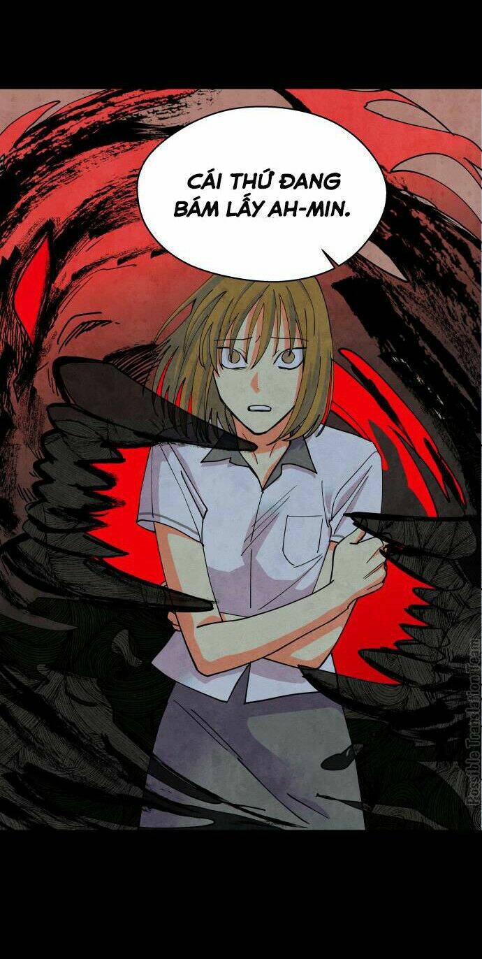 tai sói và mũ đỏ chapter 41 12