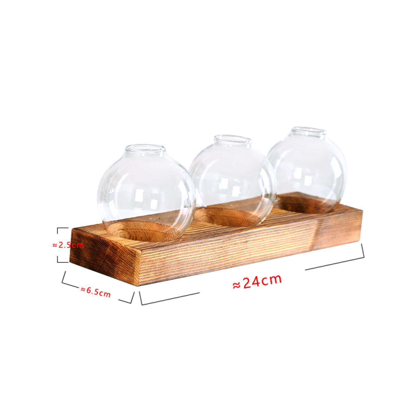 Glass Vase Transparent Bottle Propagation Terrarium for Home Cabinet Decor