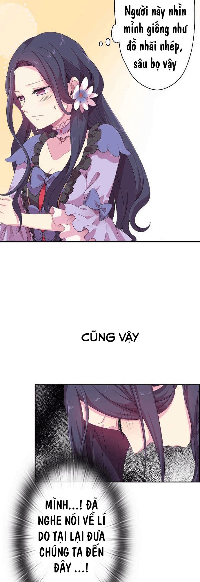 vợ lẽ của vua chapter 8 19