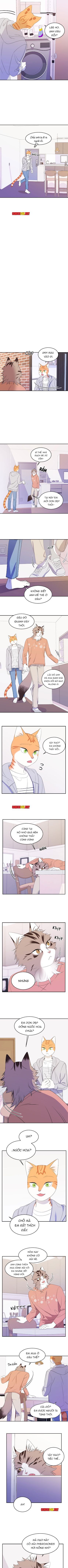 dự án xanh chapter 9 4