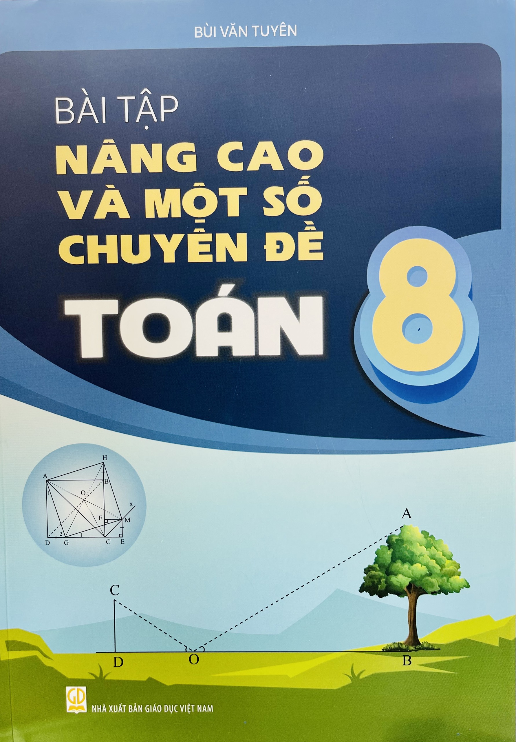 Sách - Bài tập nâng cao và một số chuyên đề Toán lớp 8 (HB)