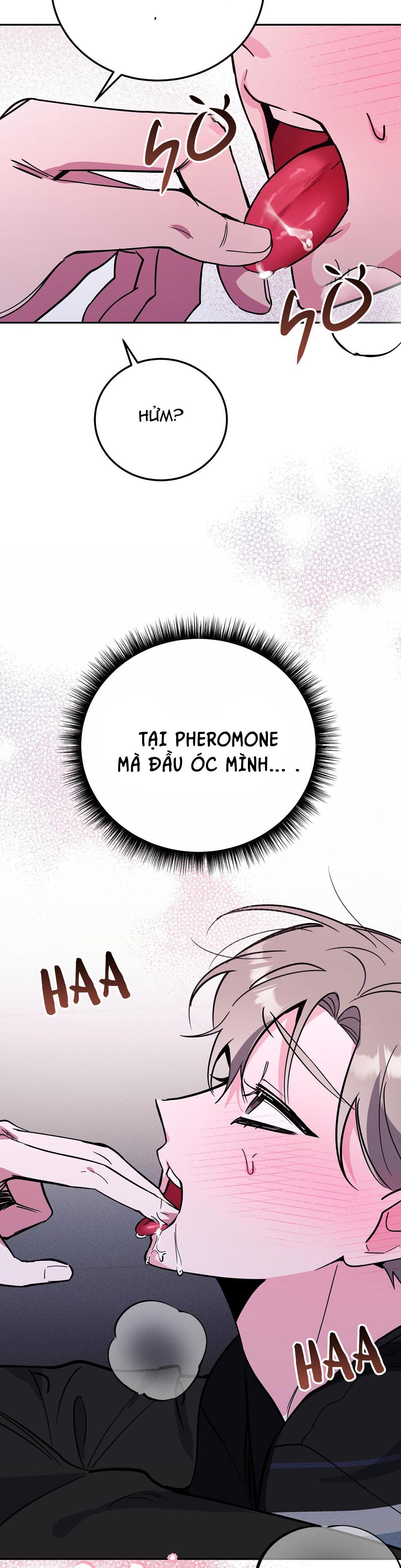 cạm bẫy đại học [m] chapter 43 23