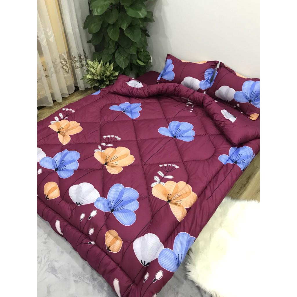 Bộ 1 ga 1m6x2m và 2 vỏ gối nằm cotton poly