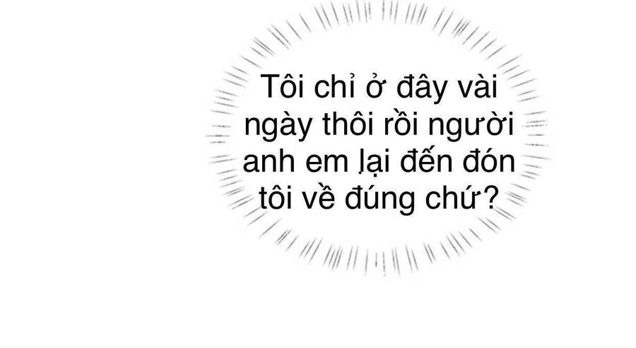 idol và sếp, em yêu ai? chapter 98 43