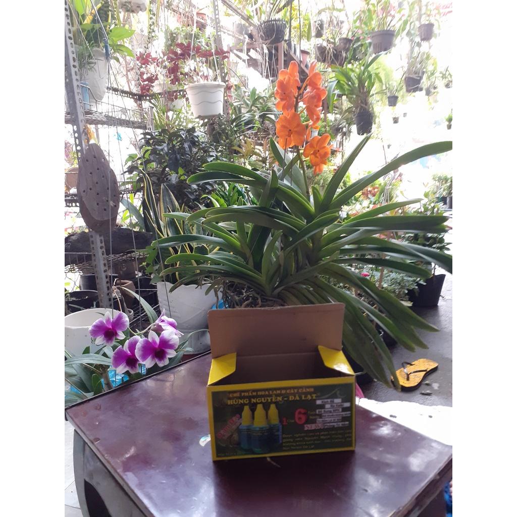 chế phẩm hoa lan (hùng nguyễn - đà lạt)/45k/chai, hộp 10 chai 450k.