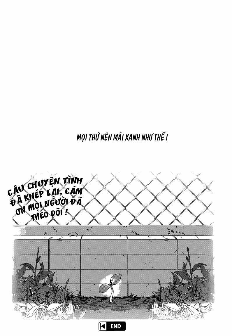 evergreen chapter 23 32