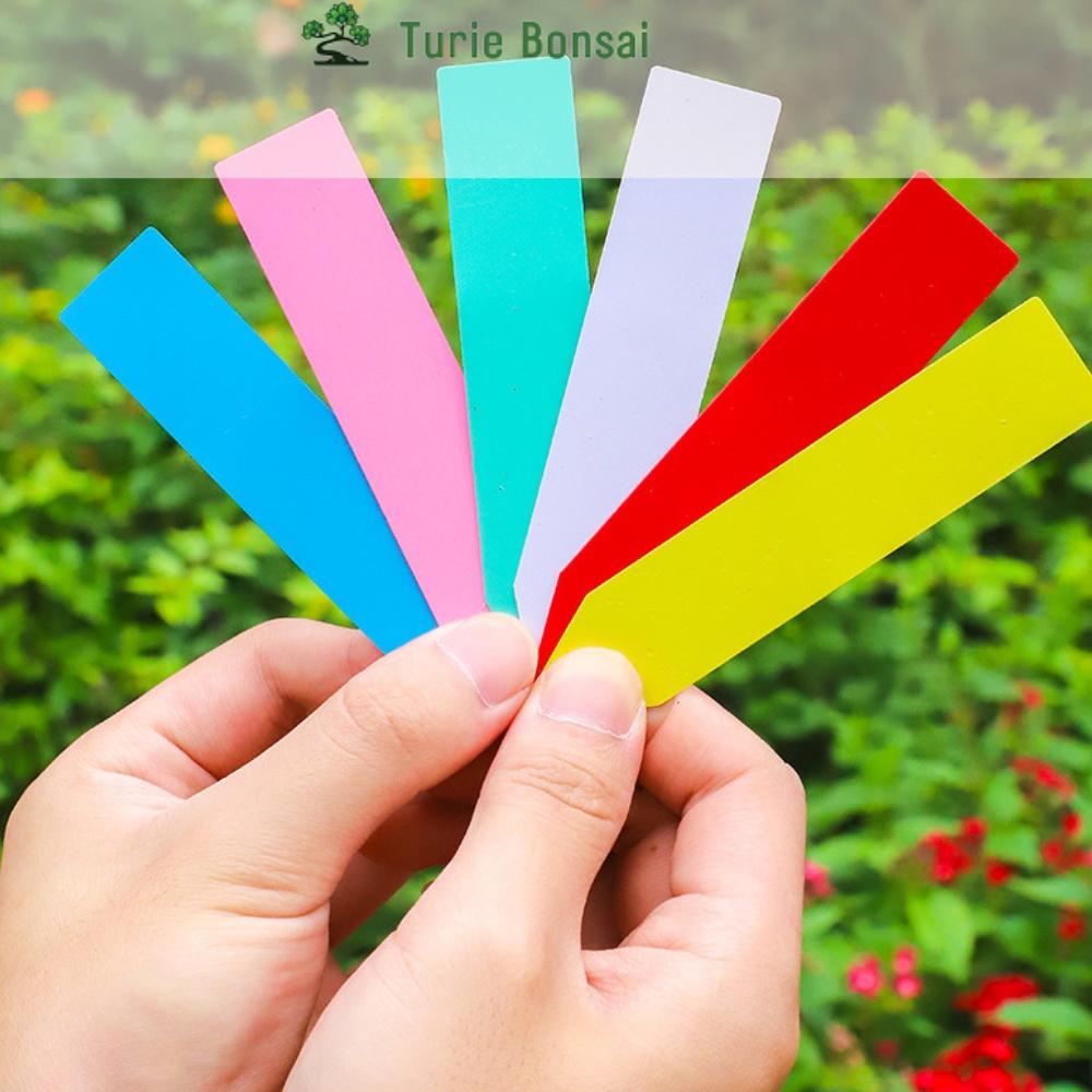 Thẻ ghi tên cây, thẻ tên bằng nhựa 11x2cm đục lỗ dùng để ghi chú tên các loại cây