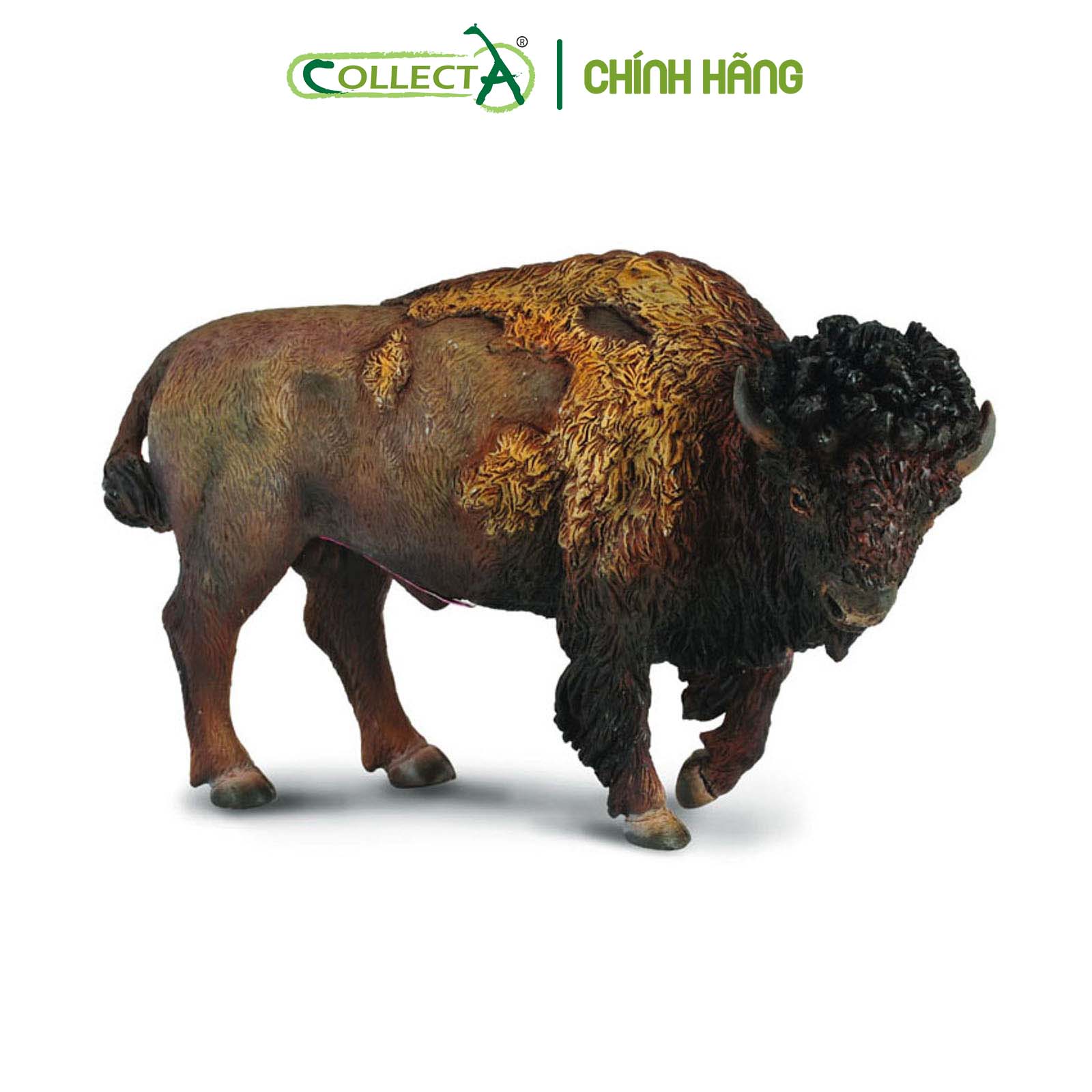 Mô hình thu nhỏ: Bò Rừng Bison - American Bison, hiệu: CollectA, mã HS 9651410[88336] -  Chất liệu an toàn cho trẻ - Hàng chính hãng