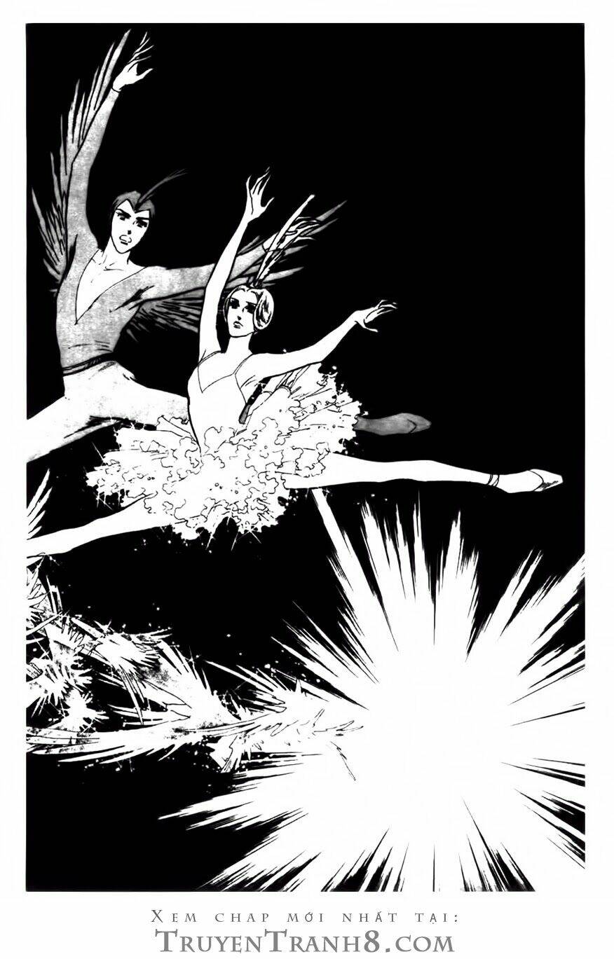 swan - vũ khúc thiên nga chapter 81 4