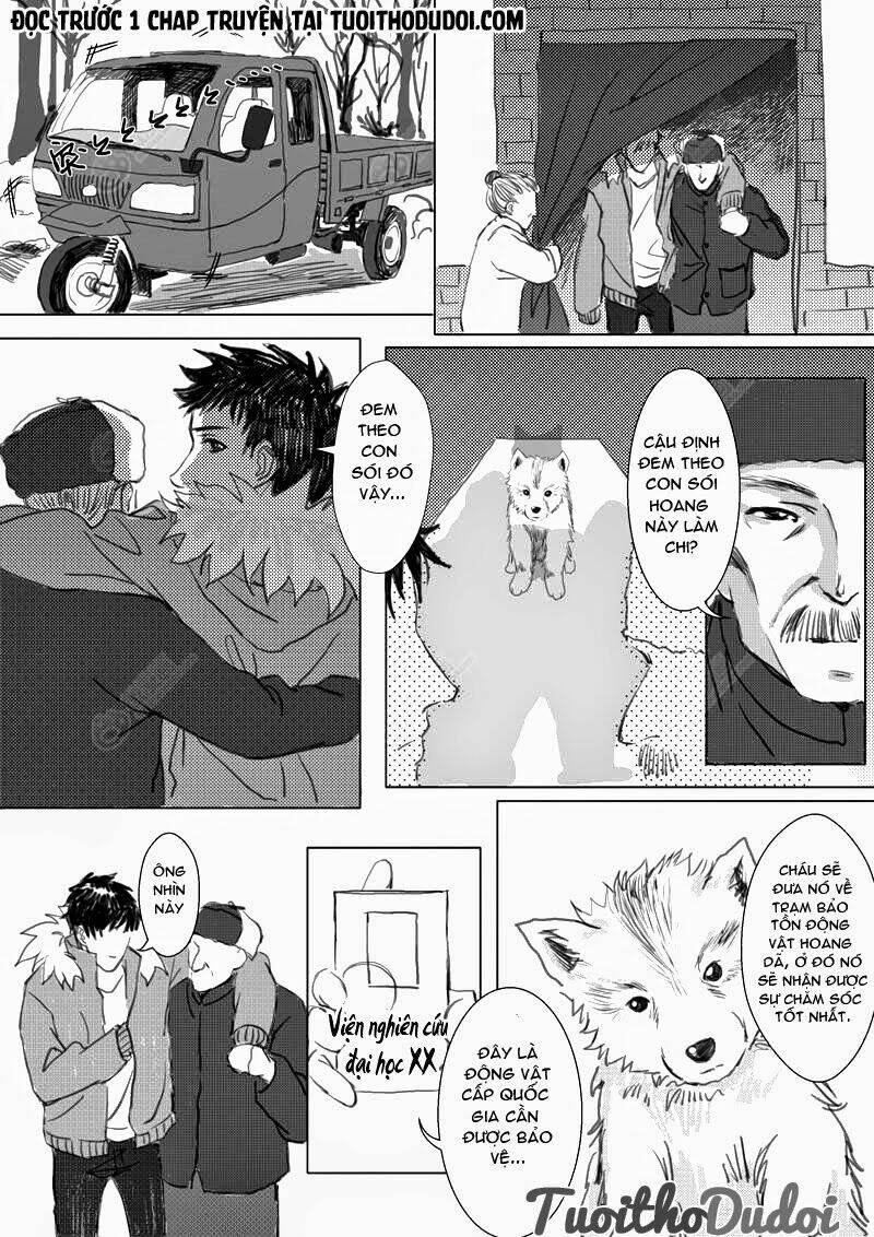 sự mê hoặc của sói chapter 2 5