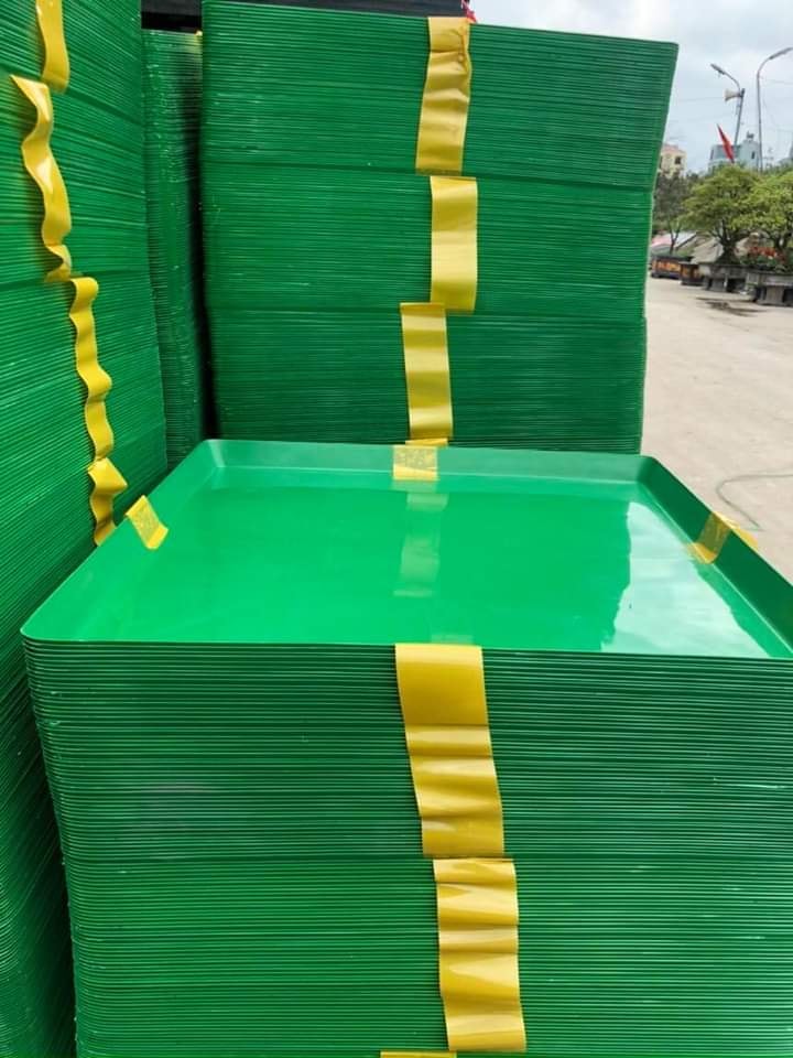 5 Khay Đựng Nước - Máng Chim KT 50 X 50 Sâu 3cm