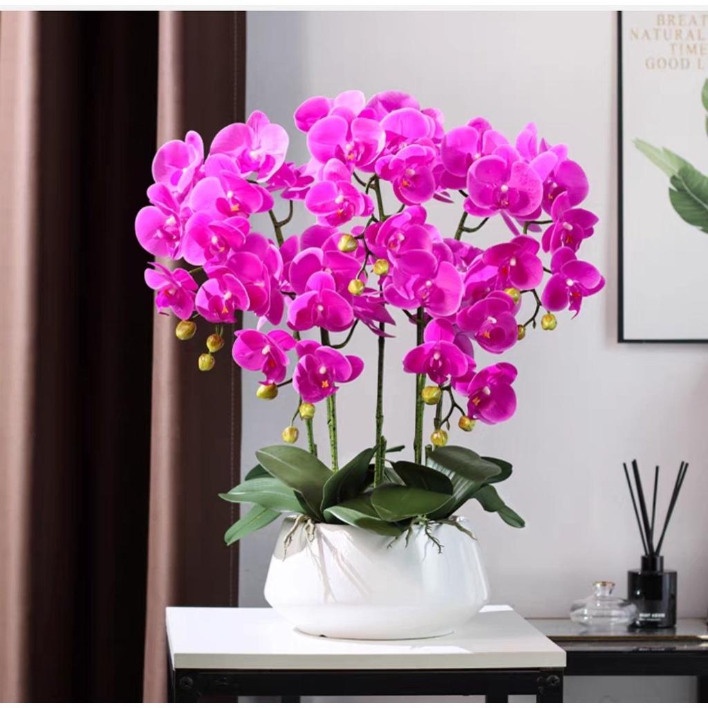 Chậu hoa lan hồ điệp cao su cao cấp cao 60cm trang trí phòng khách, làm quà khai trương sang trọng