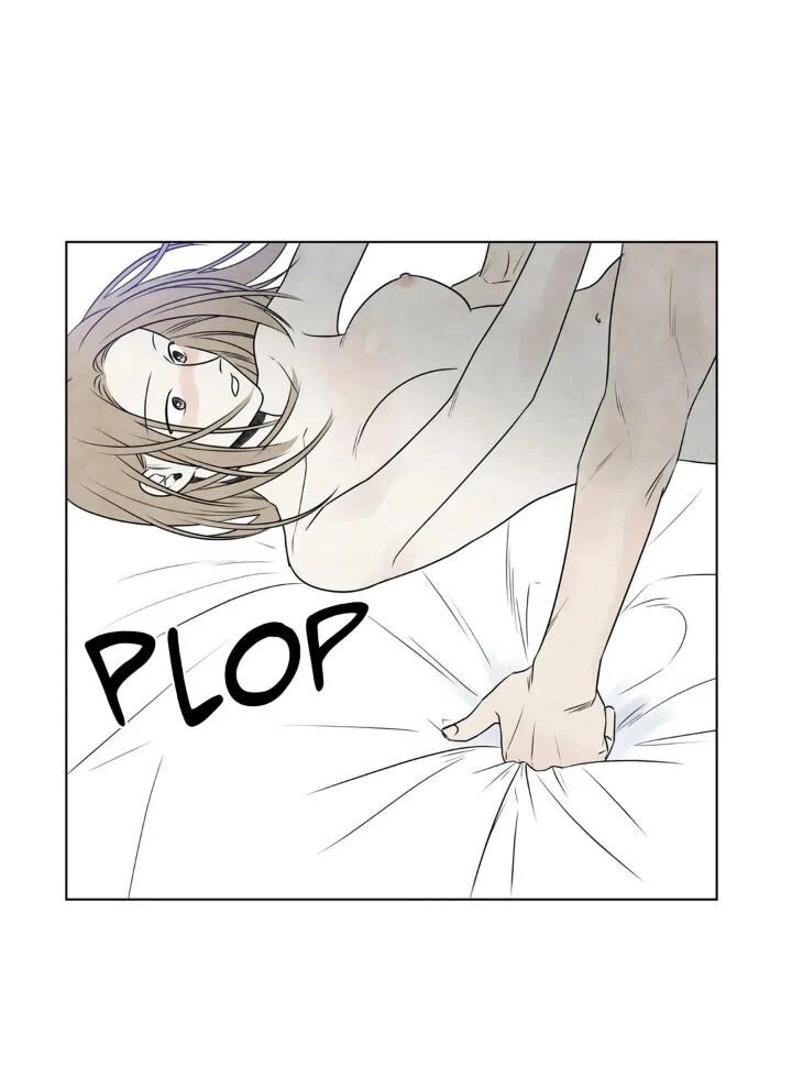 summer solstice point chapter 43 23