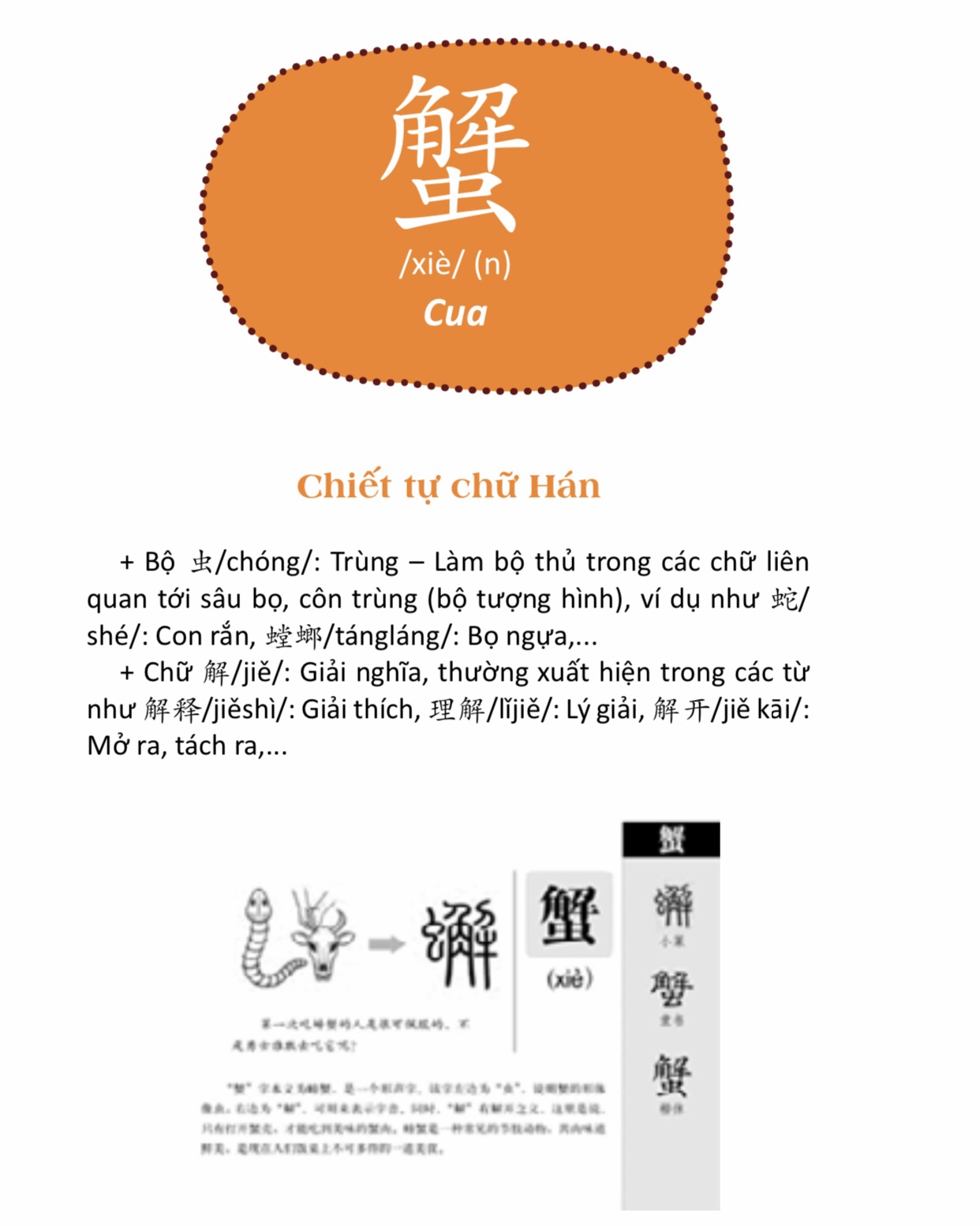 COMBO 3 SÁCH CÂU CHUYỆN CHỮ HÁN CUỘC SỐNG THƯỜNG NGÀY- GIAO THÔNG KIẾN TRÚC- THẾ GIỚI ĐỘNG VẬT