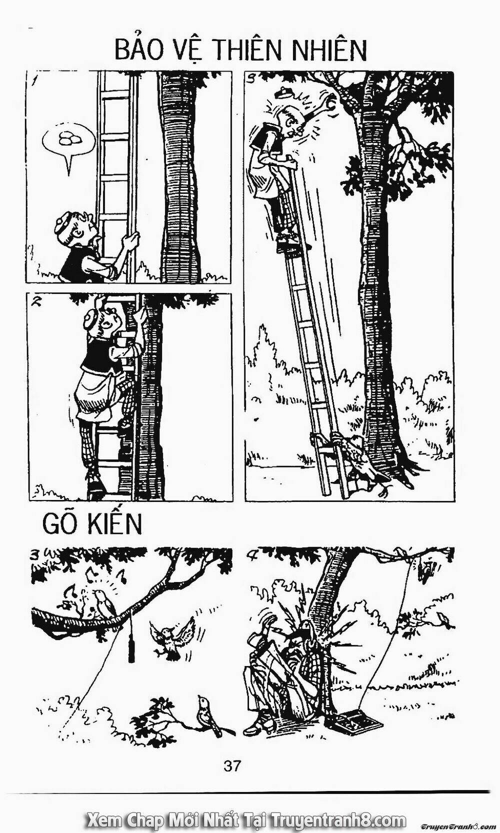 chú thoong chapter 99 13