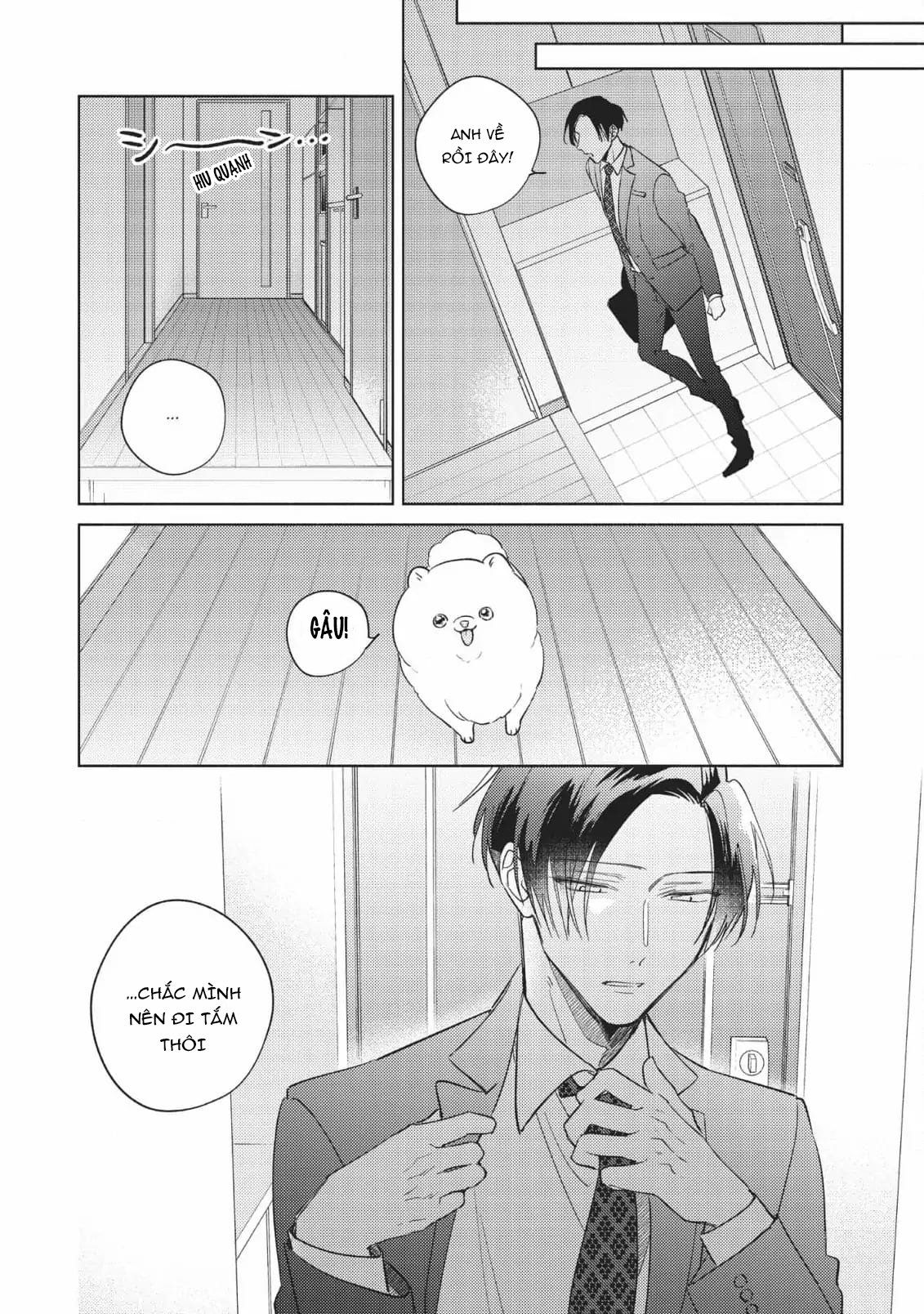 sếp tôi là idol nội y chapter 9 15