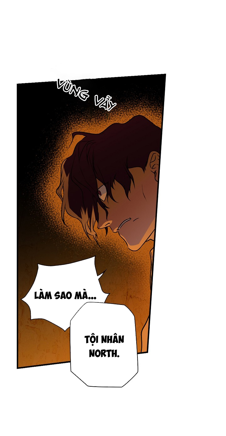 tiểu thư bí ẩn chapter 16 44