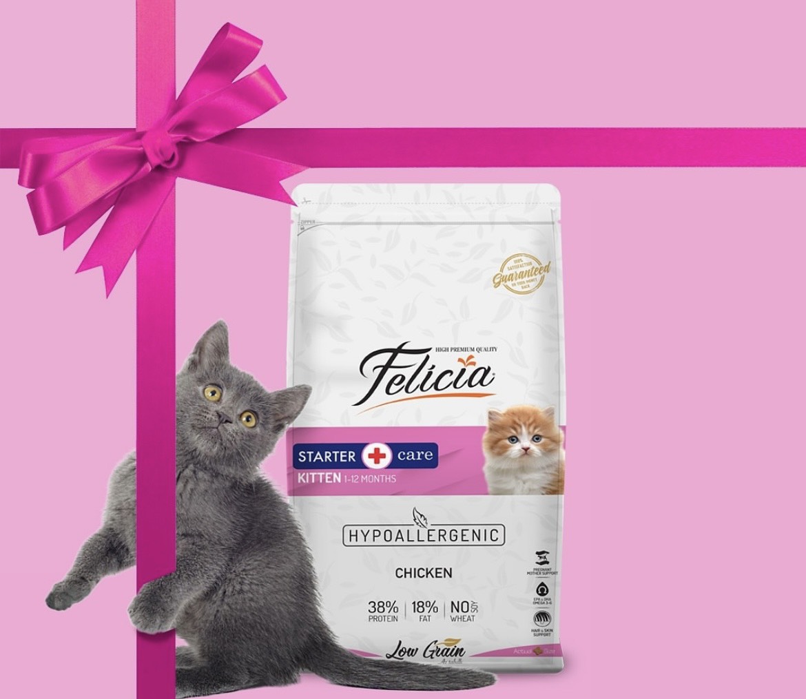 Thức ăn cho mèo mọi lứa tuổi Felicia hỗ trợ tiết niệu,đẹp lông &amp; da, hỗ trợ tiêu hoá - Xuất xứ Thổ Nhĩ Kỳ