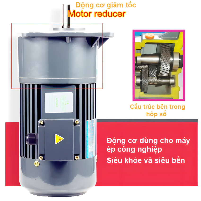 Máy ép dầu ăn thực vật chuyên nghiệp Nóng và Lạnh thương hiệu Mỹ Septree S8 - Công suất 1450W - Hàng nhập khẩu