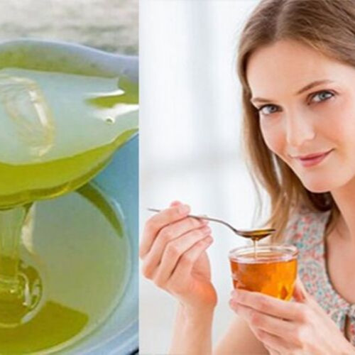 Mật Ong Hoa Bạc Hà Vanbina 600ml