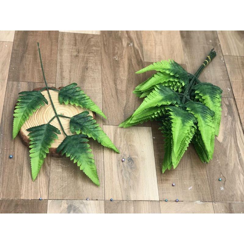 Combo 10 nhánh lá dương sỉ - Cây lá trang trí