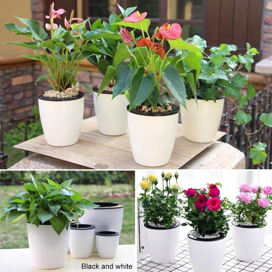 Chậu trồng cây tự tưới Oliz H0