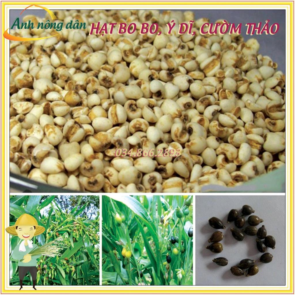 500g Hạt Cây Bo bo, Cây Ý Dĩ, Cườm Thảo - dùng cho chăn nuôi gia súc, gia cầm, thiên cầm