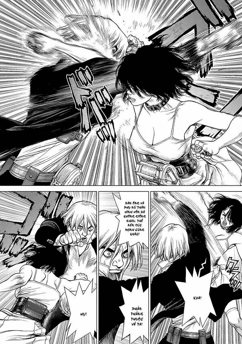 wallman chapter 21 21