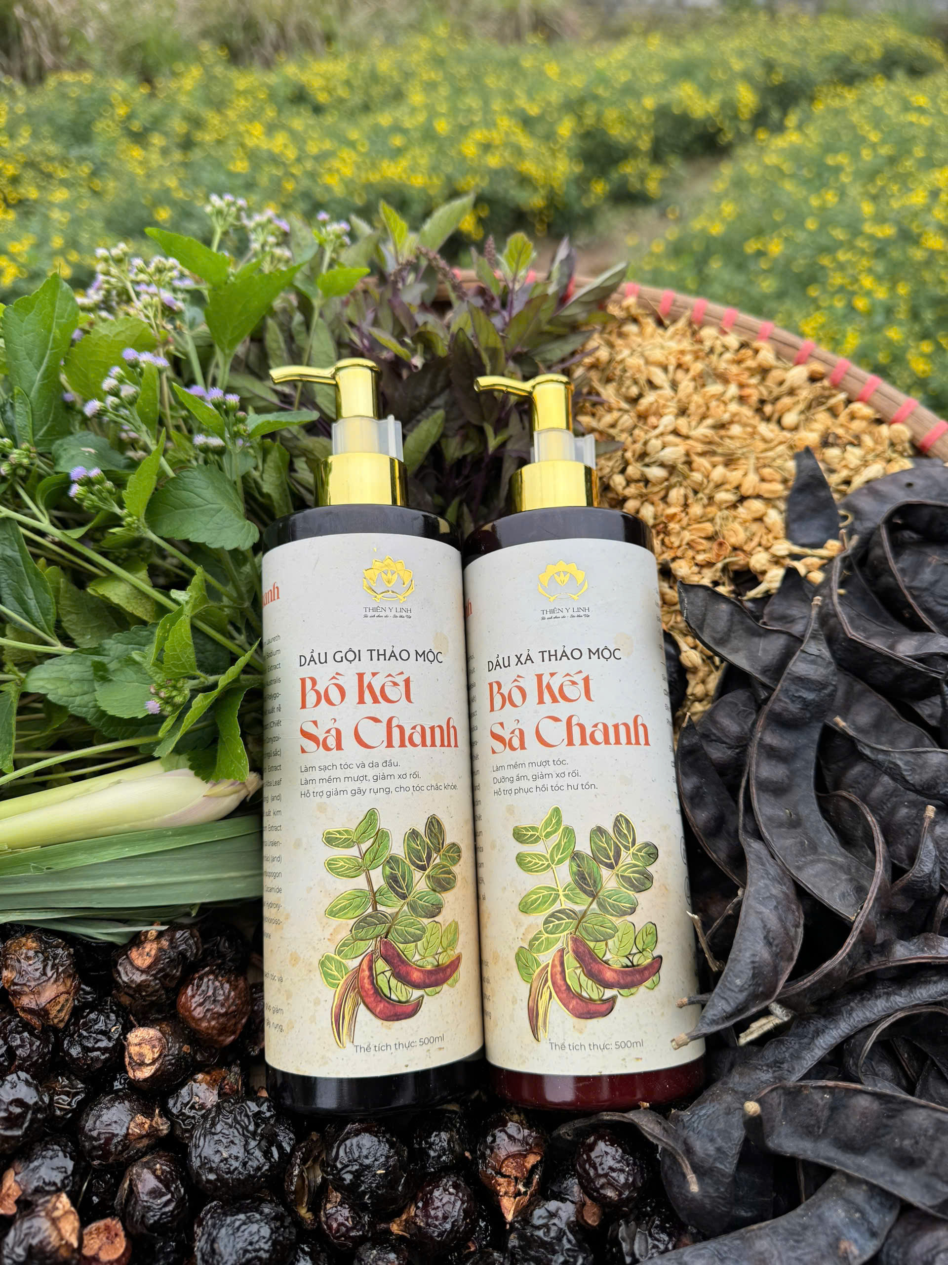 Combo Gội Xả thảo mộc Bồ Kết Sả Chanh Hà Thủ Ô giúp đen và mọc tóc trung niên