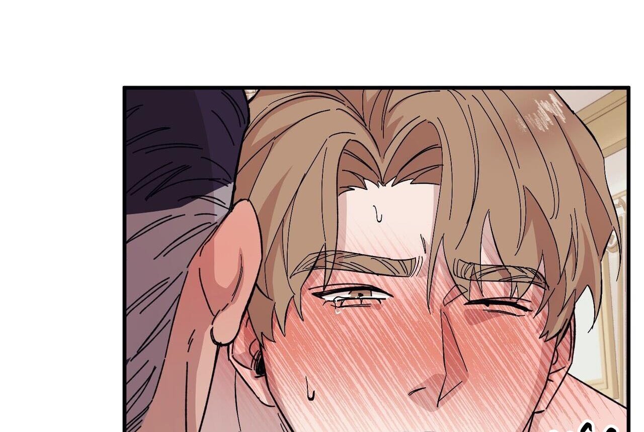 chàng dâu nhà họ kang chapter 46 39