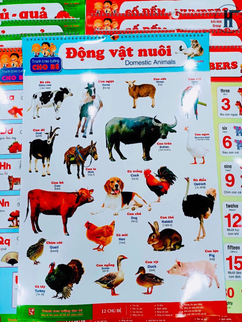 ￼Tranh lò xo- Bộ Tranh Treo Tường 6 Tờ 12 Chủ Đề dành cho bé (Song ngữ Việt Anh)