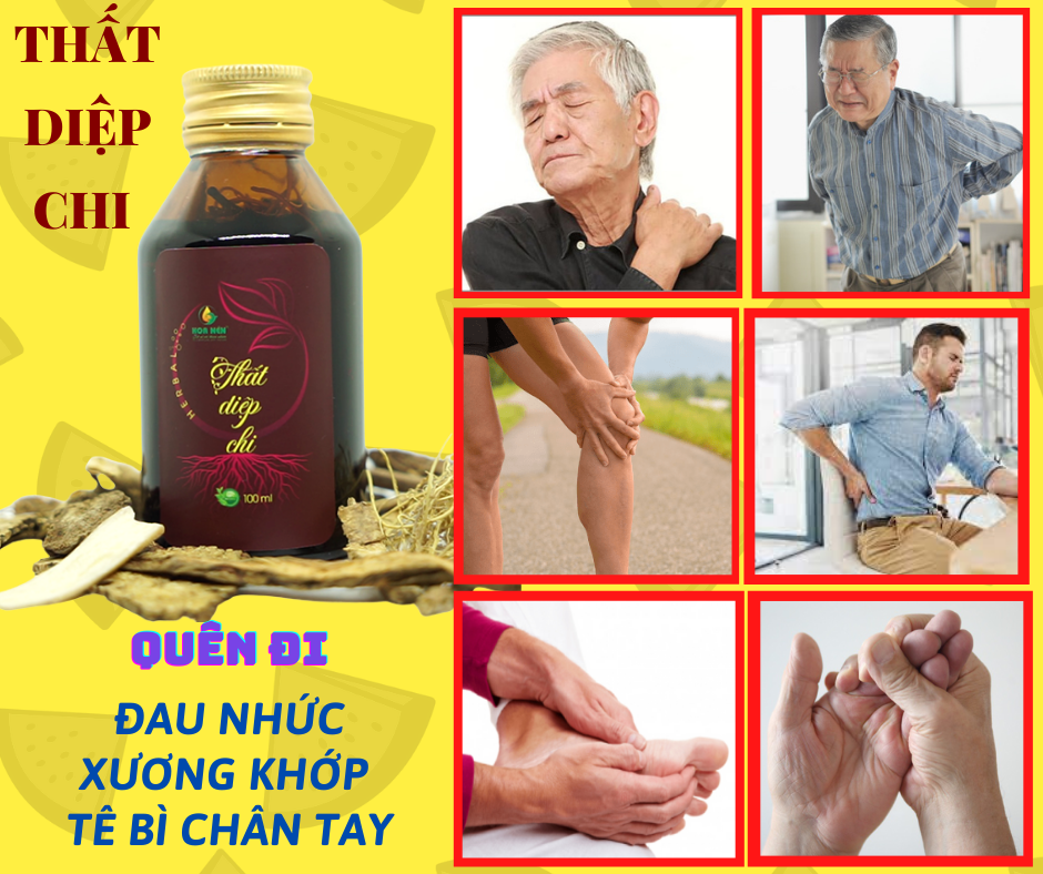 Tinh dầu xoa bóp Thất Diệp Chi - Hoa Nén - Giảm đau lưng, nhức mỏi, bầm tím - 100ml