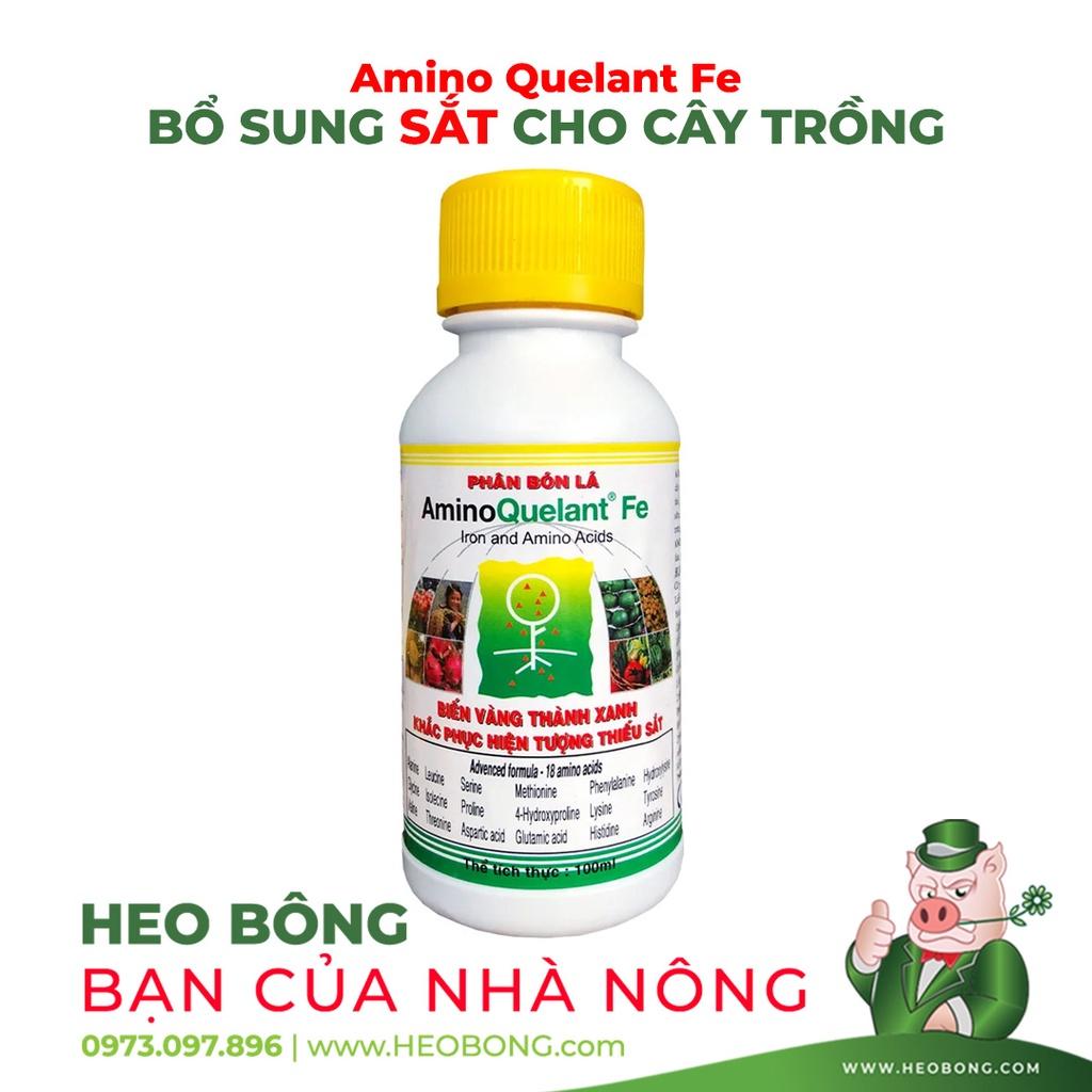 Phân bón lá ĐẠM SINH HỌC - Amino Quelant Fe cao cấp - Bổ sung sắt - biến vàng thành xanh