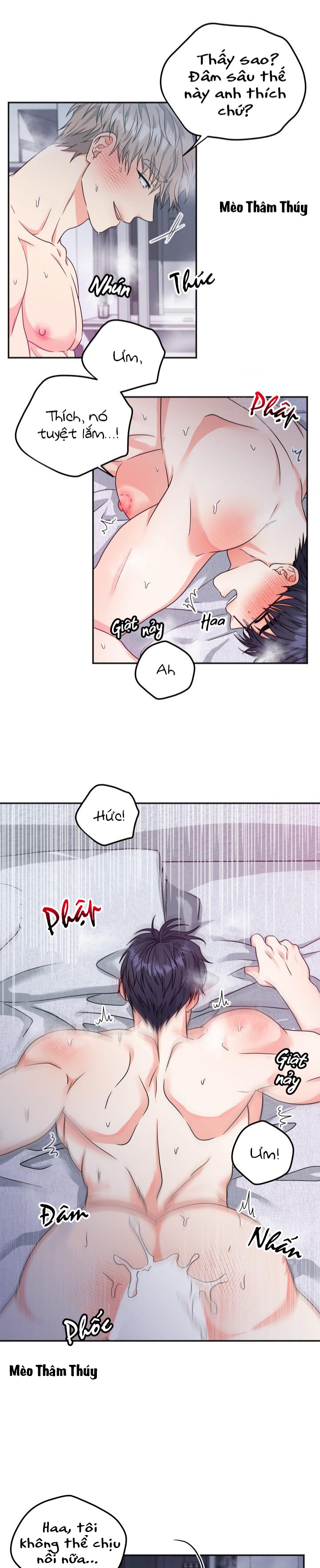 giao kiện hàng thành công chapter 12 14