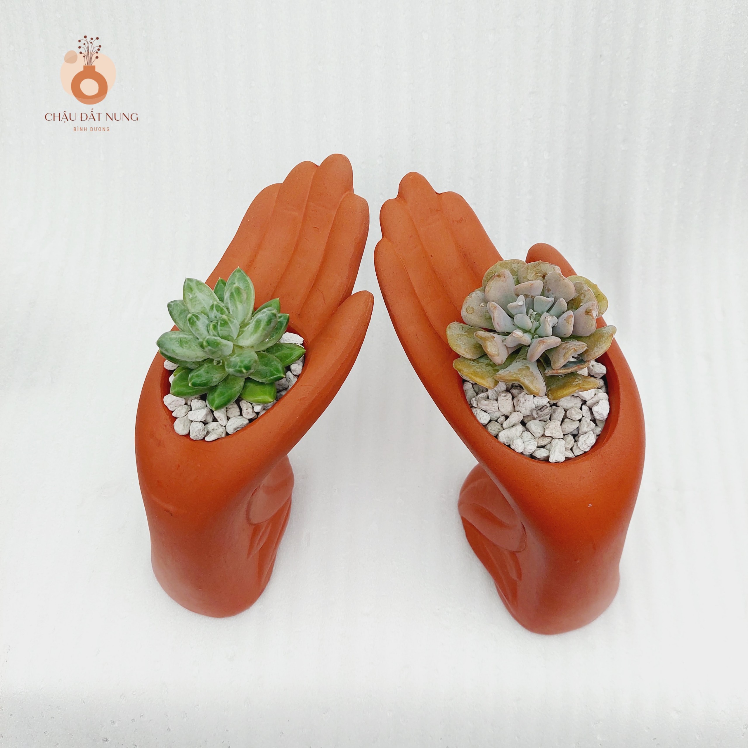 Chậu đất nung Bình Dương - Bàn tay của người tôi yêu, miệng chậu 6cm, chiều cao 15cm